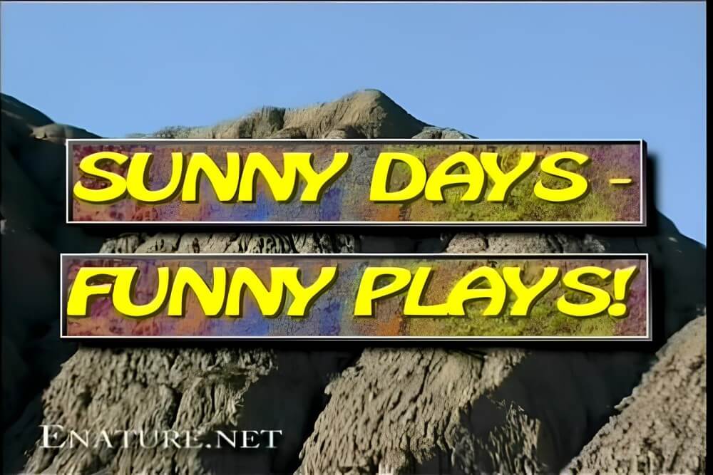 Enature - Sunny Days – Funny Plays - Promoting nudism to the masses