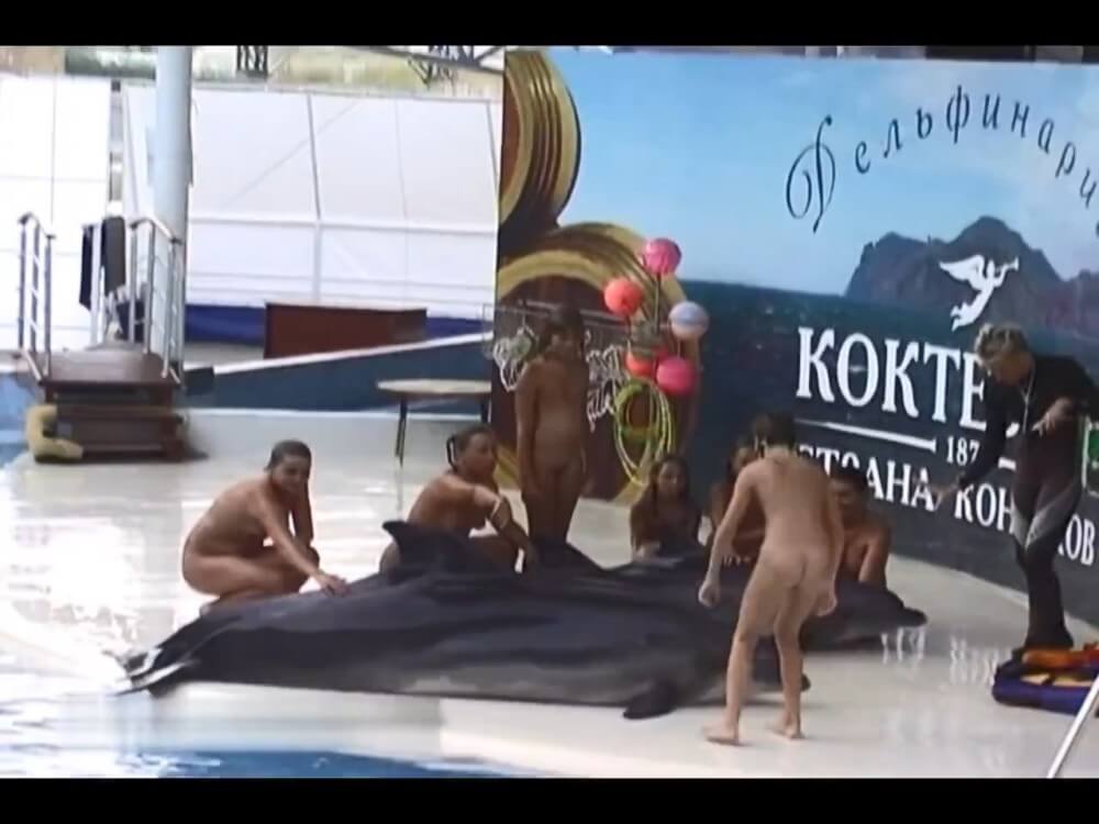 Relaxing at the dolphinarium - Family naturism in the modern world